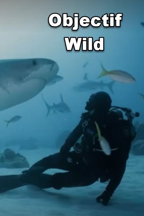 Objectif wild