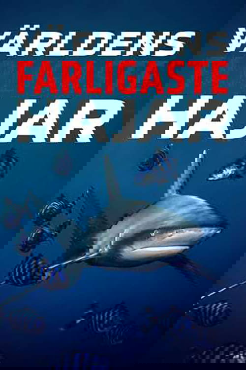 World's Deadliest Sharks