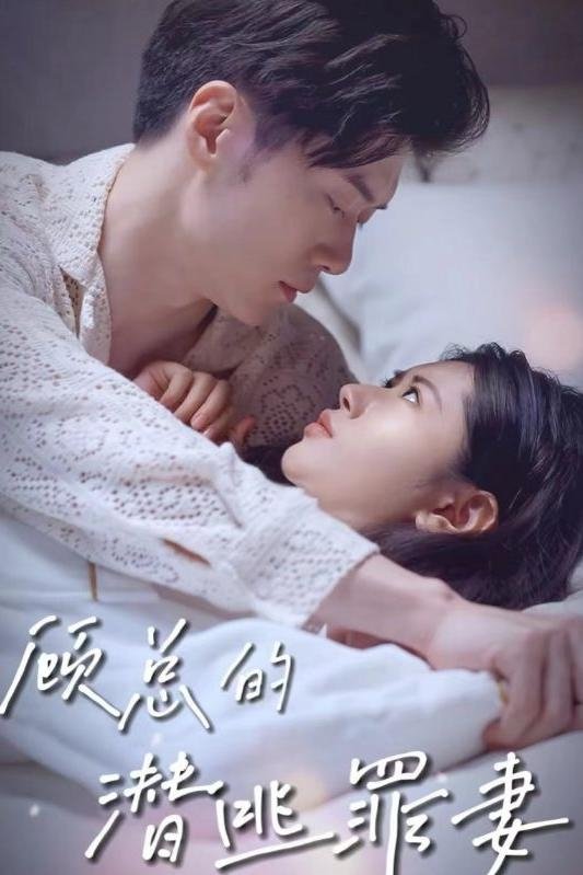 顾总的潜逃罪妻