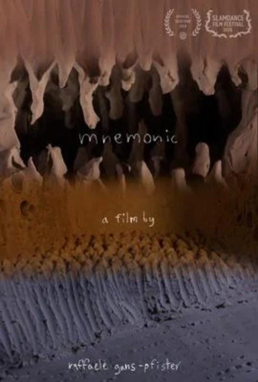 mnemonic