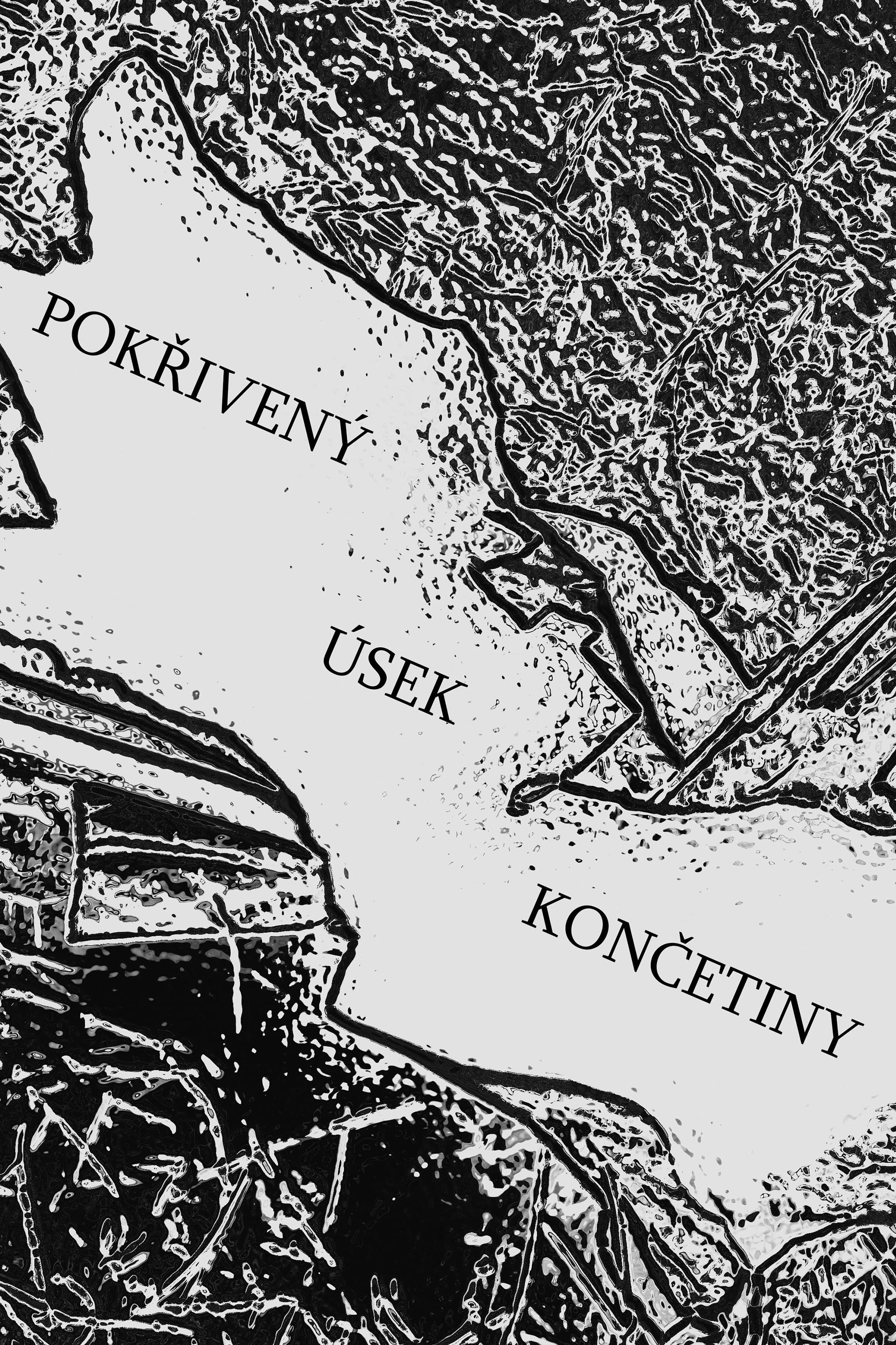 Pokřivený úsek končetiny