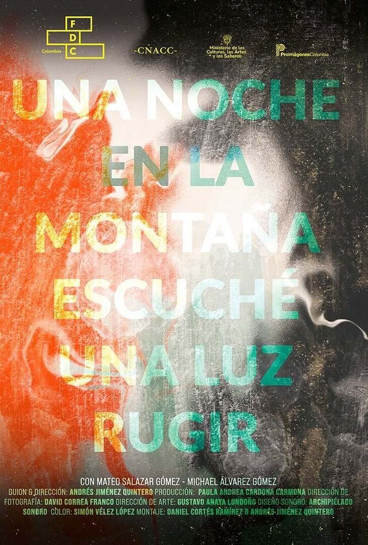 A Night in the Mountains I heard a Light Roar