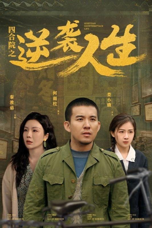 四合院之逆袭人生