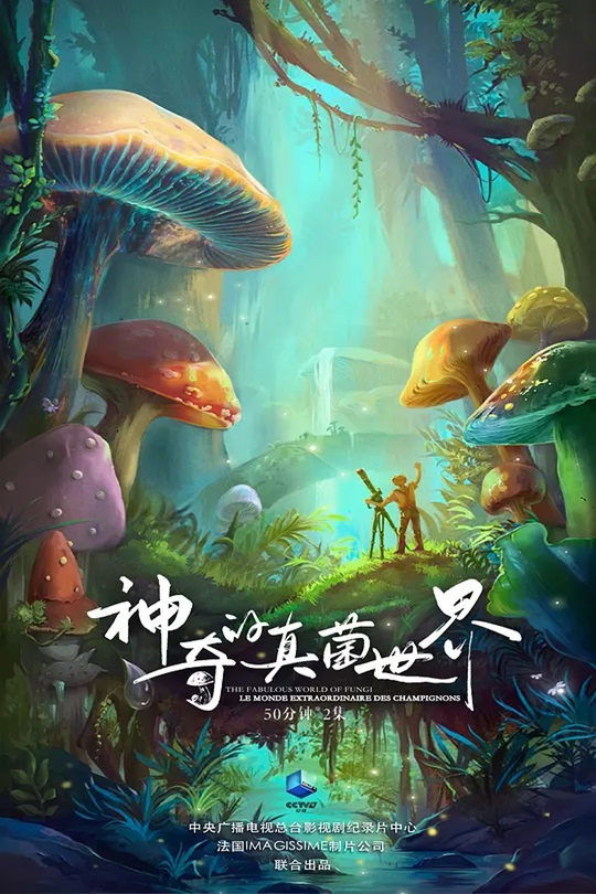 神奇的真菌世界