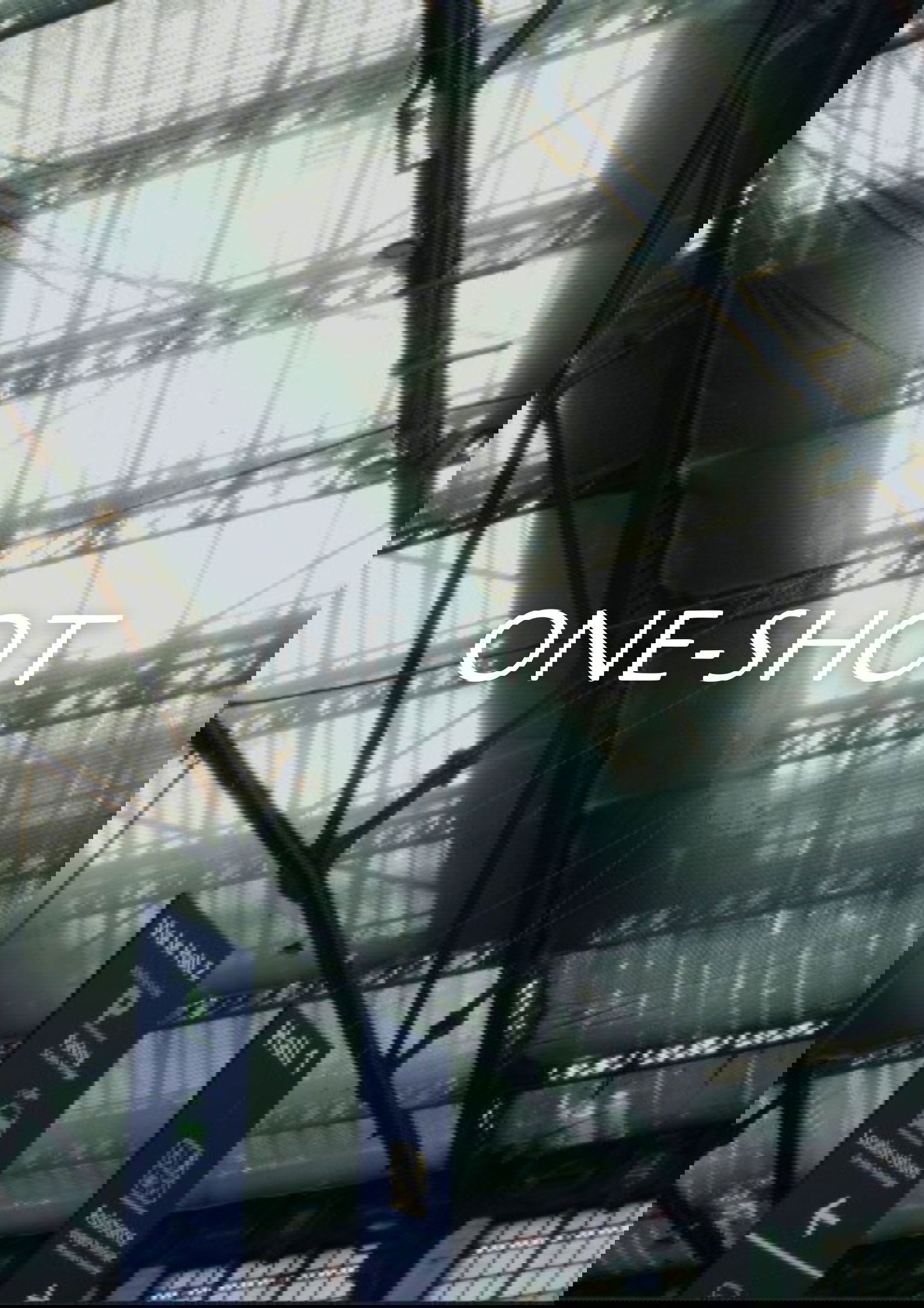 One-Shot
