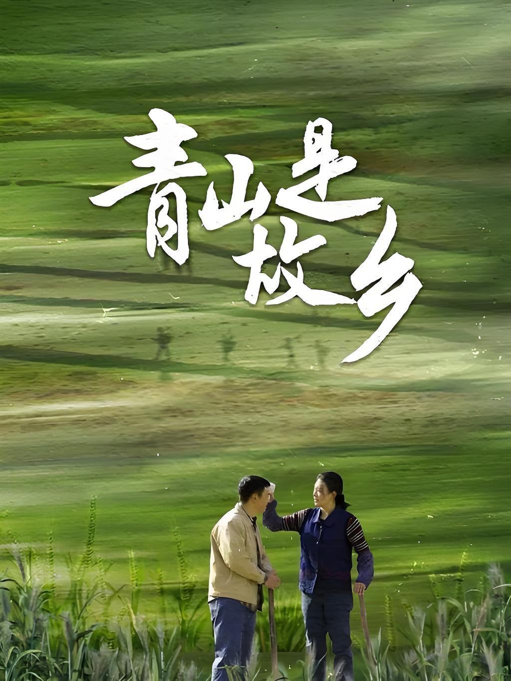 青山是故乡
