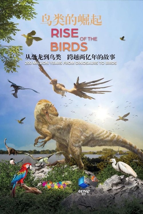鸟类的崛起