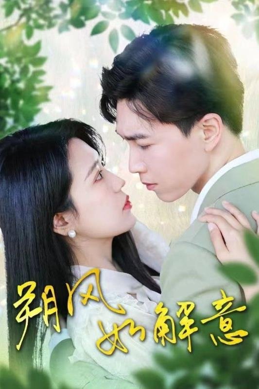 朔风如解意