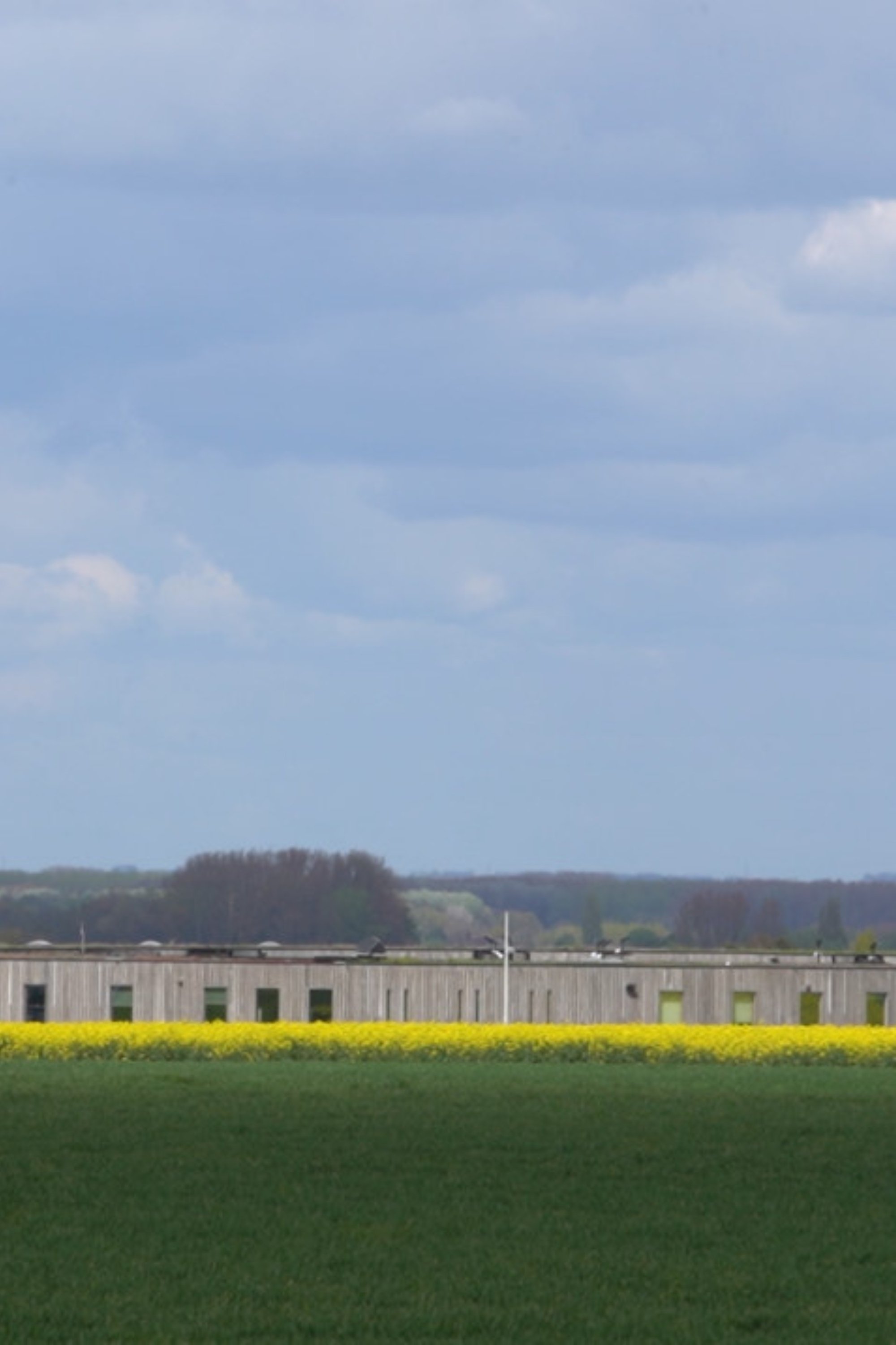 From Afar