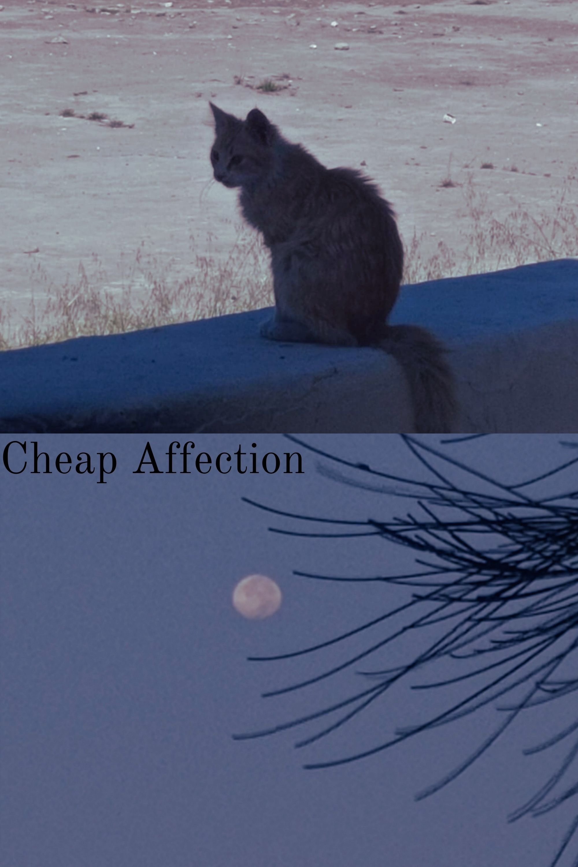 Cheap Affection