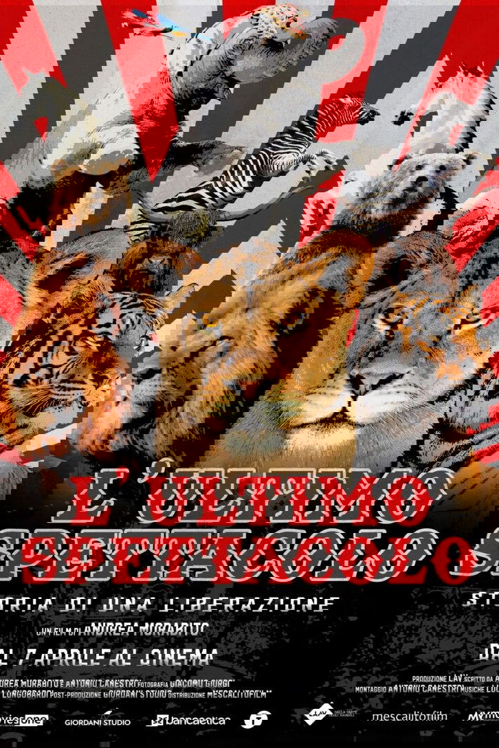 L’ultimo spettacolo